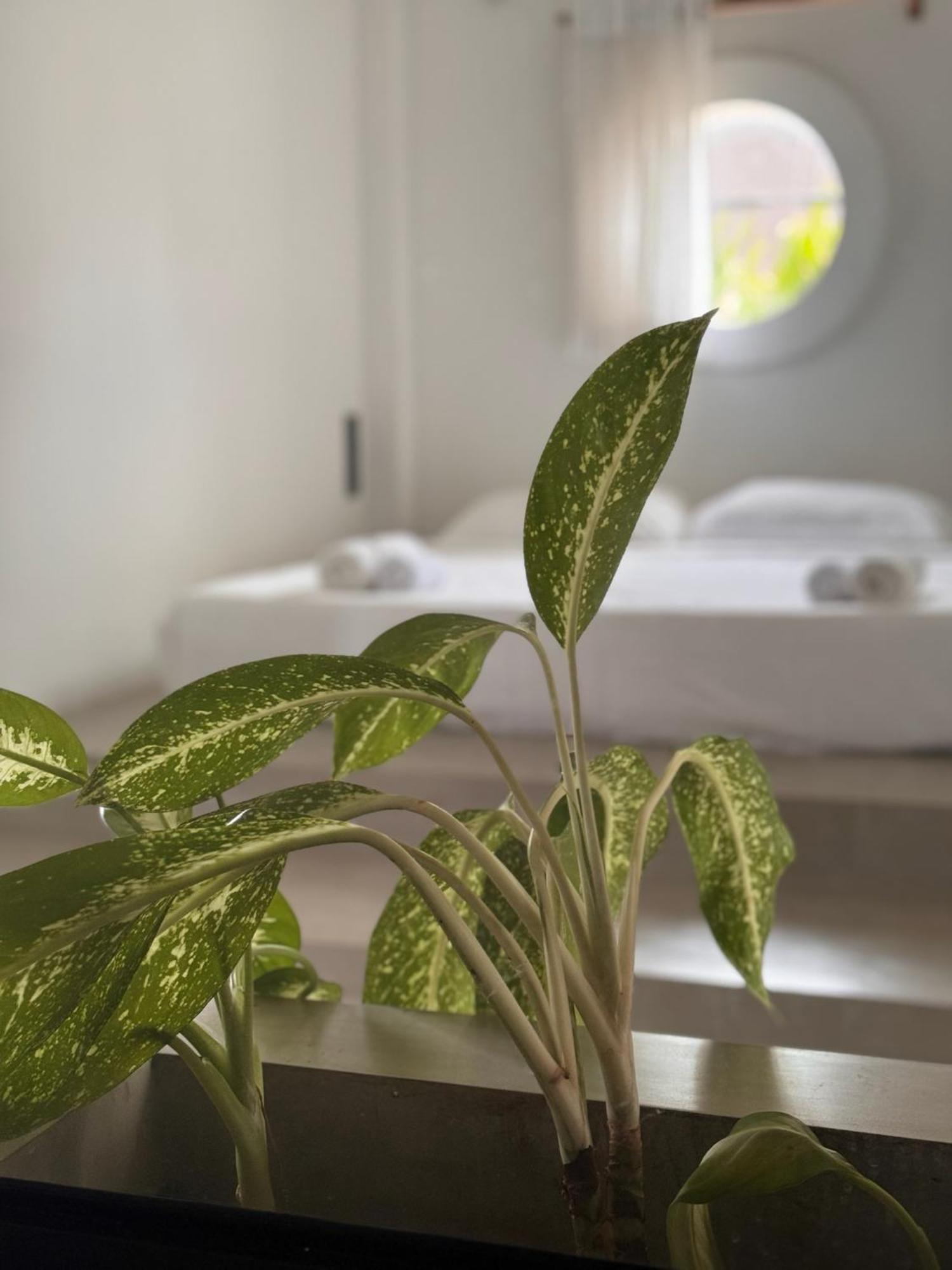 Loft Ahangama Dış mekan fotoğraf